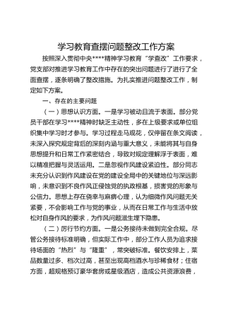 学习教育查摆问题整改工作方案