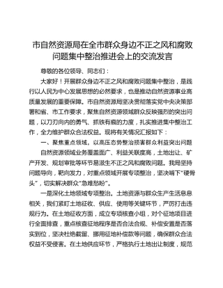 市自然资源局在群众身边不正之风和腐败问题集中整治推进会上的交流发言（总结汇报）