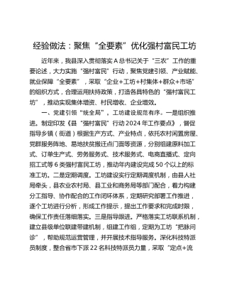 经验做法发言：聚焦“全要素”优化强村富民工坊