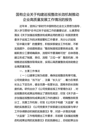 国企公司构建巡视巡察整改长效机制推动企业高质量发展工作情况总结报告
