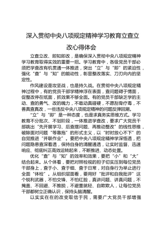 八项规定精神学习教育立查立改心得体会