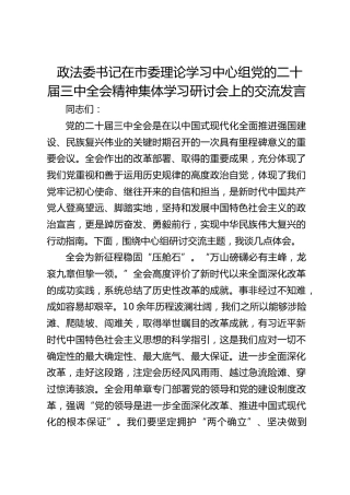 政法委书记在市委理论学习中心组三中全会精神集体学习研讨会上的交流发言