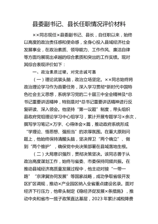 县委副书记、县长任职情况评价