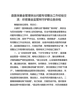 县医保基金管理突出问题专项整治工作经验交流