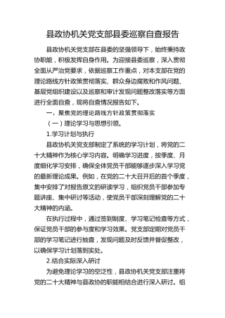 县政协机关党支部县委巡察自查报告（总结）