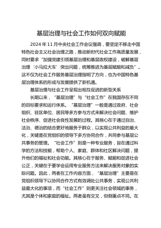 理论发言：基层治理与社会工作如何双向赋能