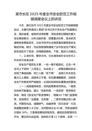 市长在2025年度全市安全防范工作视频调度会议上的讲话