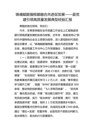 县区党建引领高质量发展典型经验汇报