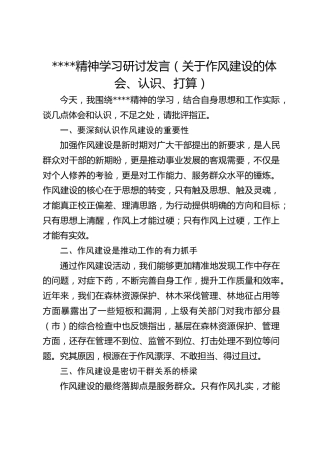 作风建设精神学习研讨发言（关于作风建设的体会、认识、打算）