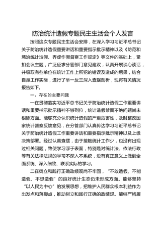 防治统计造假专题民主生活会个人发言