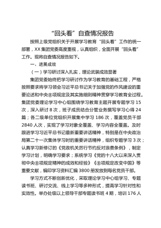 公司八项规定精神“回头看”自查情况总结报告5400字