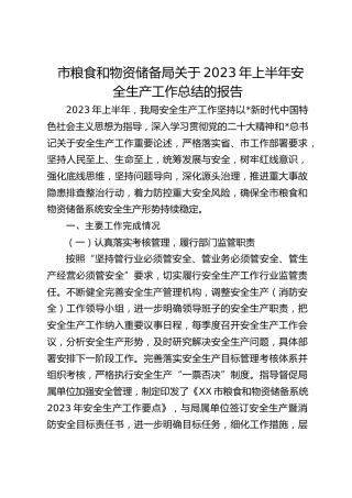 市粮食和物资储备局关于2023年上半年安全生产工作总结的报告