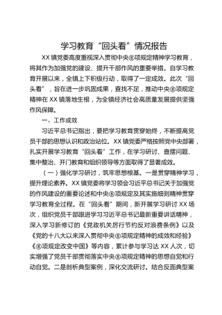 八项规定精神“回头看”情况总结报告6400字