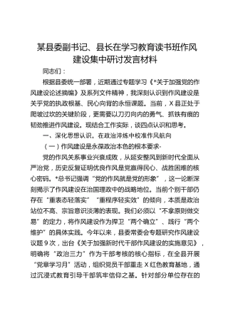 县委副书记、县长在2025年作风建设精神学习教育读书班作风建设集中研讨发言材料