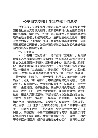 市公安局党支部党建工作总结3300字