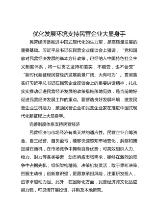 优化发展环境支持民营企业大显身手