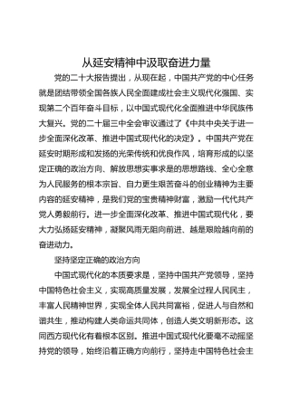 从延安精神中汲取奋进力量