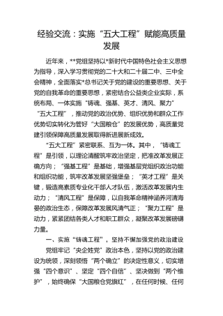 经验交流发言：实施“五大工程” 赋能高质量发展