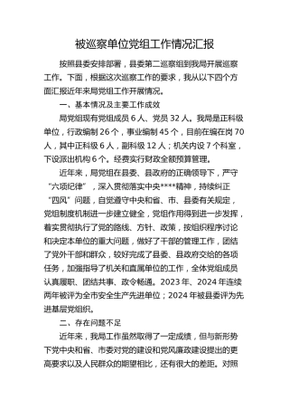 被巡察单位党组工作情况汇报3300字（总结）