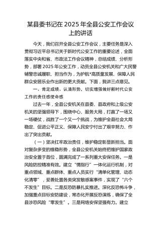 县委书记在2025年全县公安工作会议上的讲话