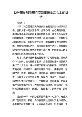 领导在参加所在党支部组织生活会上的讲话