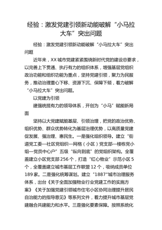 经验交流：激发党建引领新动能 破解“小马拉大车”突出问题