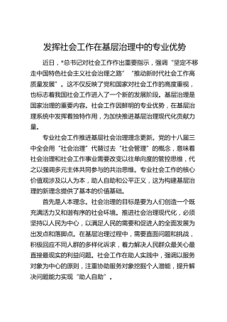 理论发言：发挥社会工作在基层治理中的专业优势