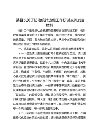 县长关于防治统计造假工作研讨发言