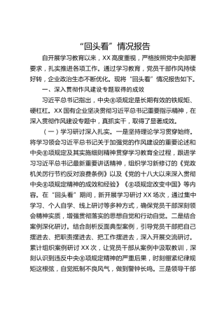 国企公司八项规定精神“回头看”情况总结报告5900字