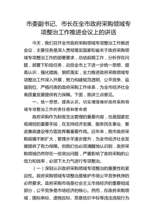 市委副书记、市长在全市政府采购领域专项整治工作推进会议上的讲话