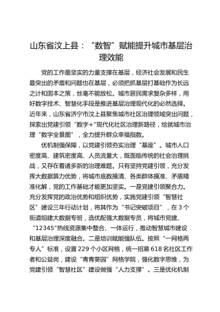 经验总结：“数智”赋能提升城市基层治理效能