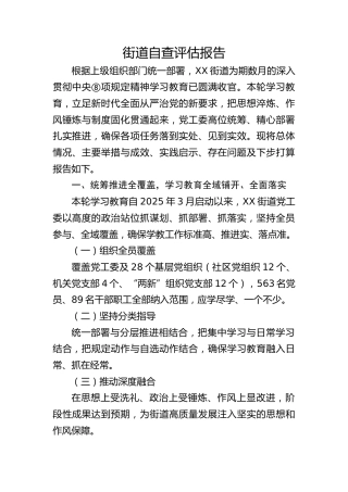 街道八项规定精神学习教育自查评估报告5800字