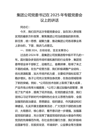 公司党委书记在2025年专题党委会议上的讲话