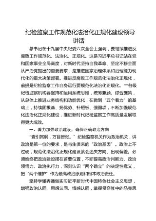 公司纪检监察工作规范化法治化正规化建设领导讲话