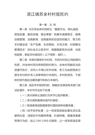 村规民约 (2)