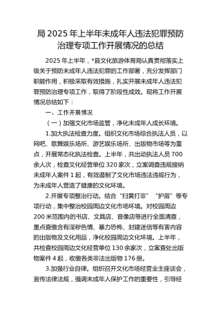 文旅系统未成年人违法犯罪预防治理专项工作开展情况的总结