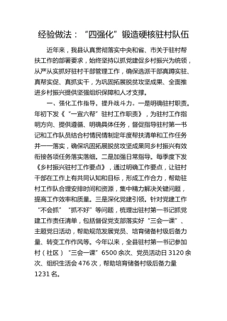 经验做法发言：“四强化”锻造硬核驻村队伍