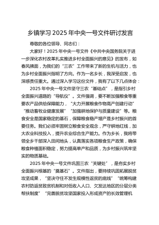 乡镇学习2025年中央一号文件研讨发言