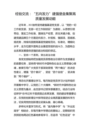 经验交流发言：“五向发力”建强堡垒 集聚高质量发展动能