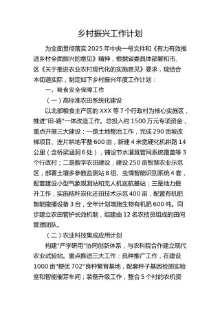 乡村振兴年度工作计划（乡镇街道）