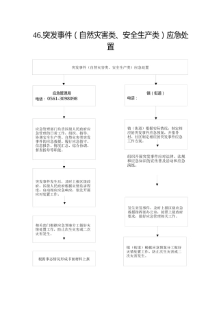 46.应急局--突发事件（自然灾害类、安全生产类）应急处置