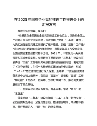 国有企业党的建设工作推进会上的汇报发言（公司）