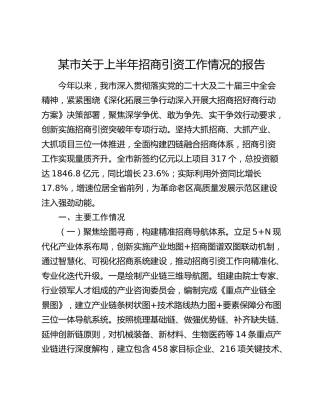 市上半年招商引资工作情况总结报告