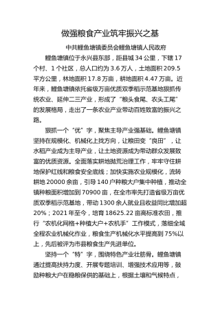 乡镇经验总结：做强粮食产业 筑牢振兴之基