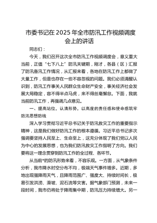 市委书记在2025年全市防汛工作视频调度会上的讲话(1)