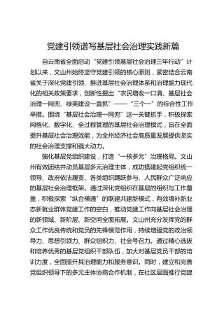 经验总结发言：党建引领谱写基层社会治理实践新篇 