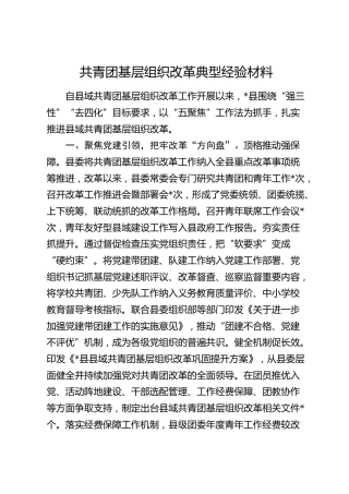 共青团基层组织改革典型经验