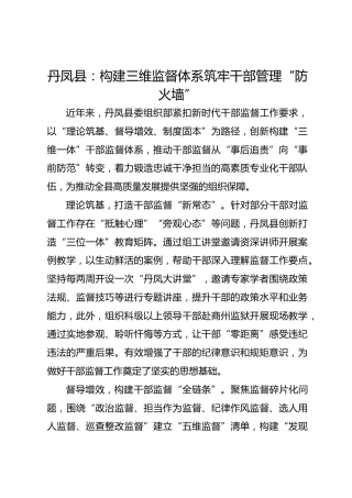 丹凤县：构建三维监督体系 筑牢干部管理“防火墙”