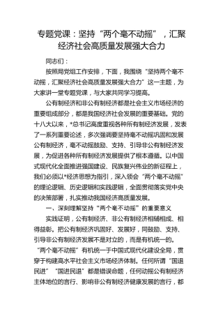 党课：坚持“两个毫不动摇”，汇聚经济社会高质量发展强大合力