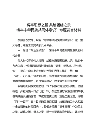 铸牢中华民族共同体意识研讨发言